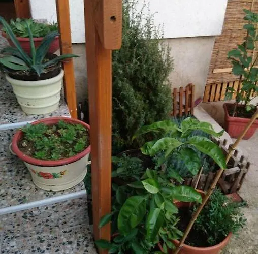 At The Bascarsija بيت ضيافة سراييفو